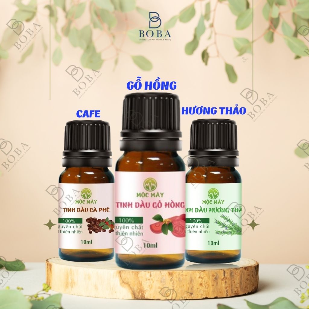 (HCM) Combo 3 Mùi Tinh Dầu, Tạo Hương Thơm, Khuếch Tán Mùi Hương, Làm Sạch Không Khí - BOBA NATURALS