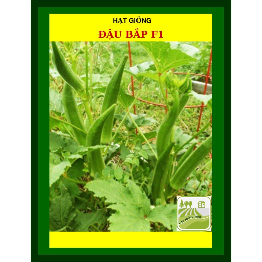 Hạt Giống Đậu Bắp Cao Sản Nam Bộ 50 Gram