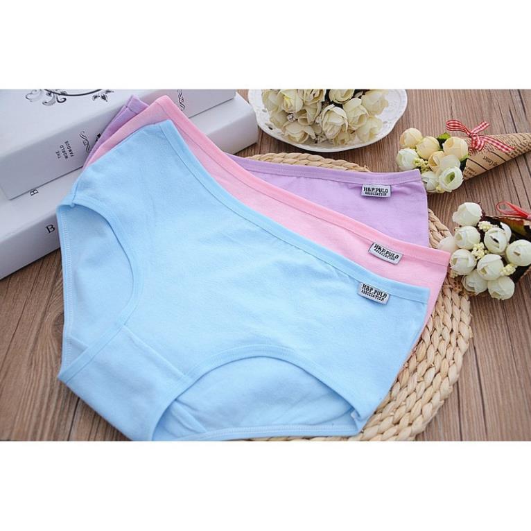 Combo 10 quần lót cotton chất đẹp