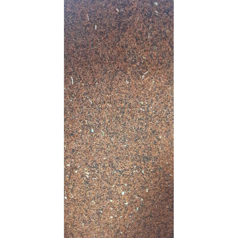 500 gram hạt bạch đàn đỏ