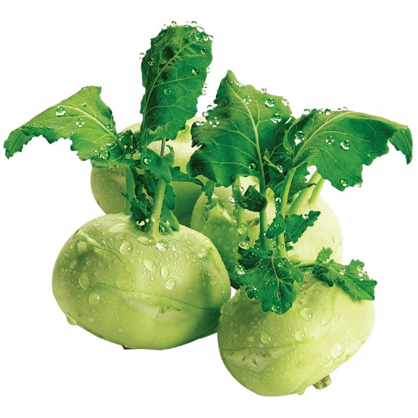 Hạt giống Su Hào Phú Nông gói 0.5gram