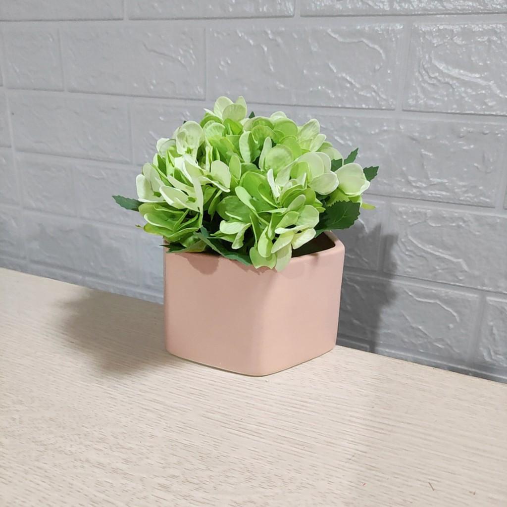 Chậu sứ trồng sen đá, xương rồng - Chậu sứ lục giác - Nhiều màu