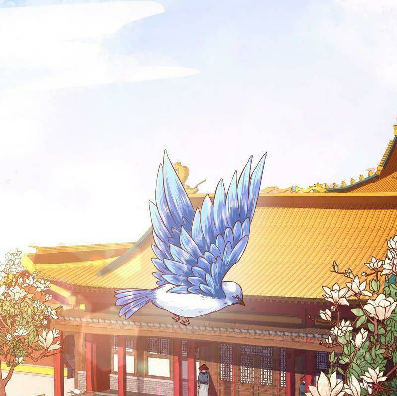 quận chúa vững vàng, thiết lập nhân vật không thể vỡ chapter 3 49