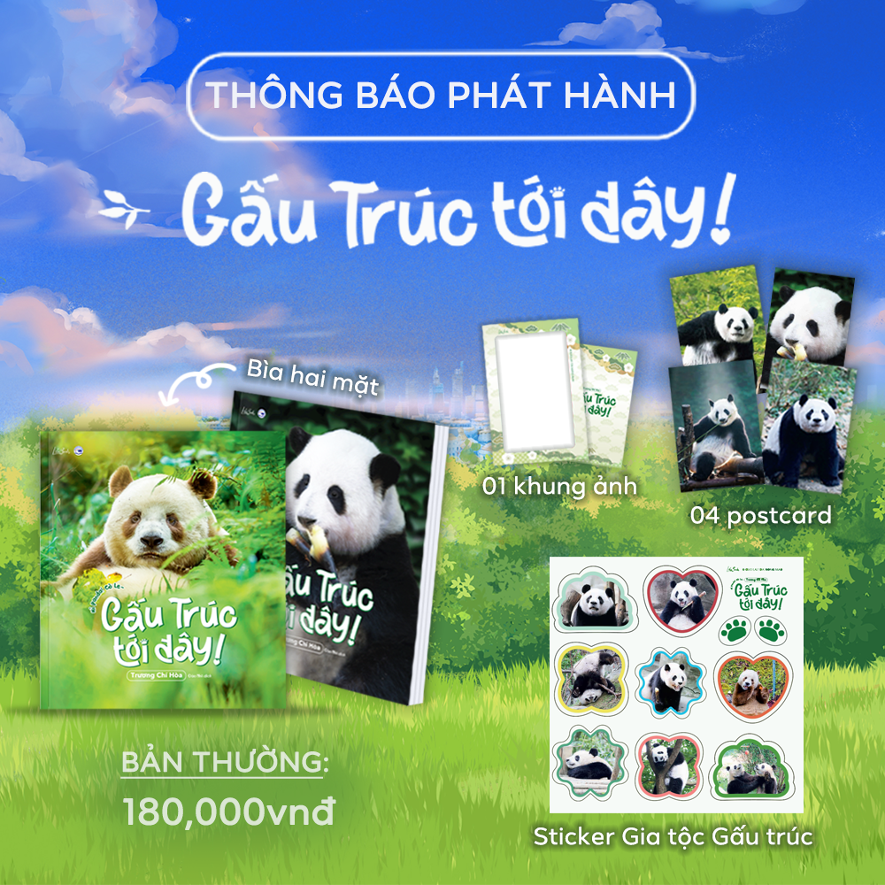 Gấu Trúc Tới Đây - Amakbooks