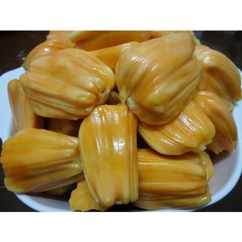Cây mít ta cao 40-60cm, giống chuẩn F1