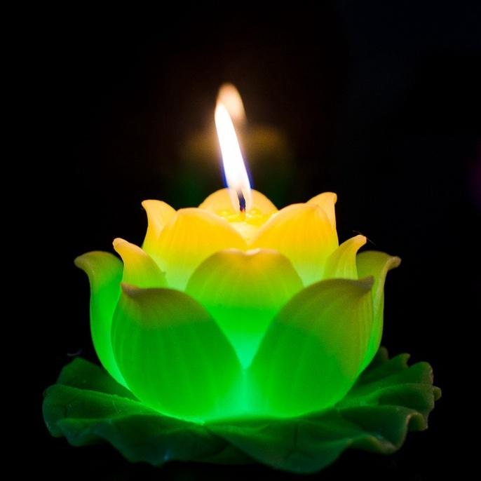 Nến hoa sen lớn - nến hoa thờ phật - nến bông sen trang trí cao cấp candle shop