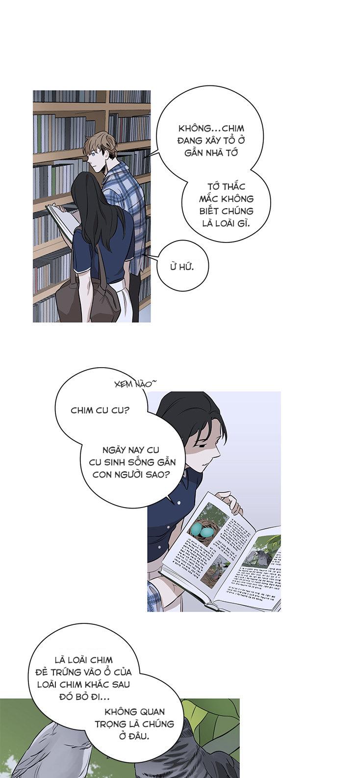 loài chim không bay chapter 2 2