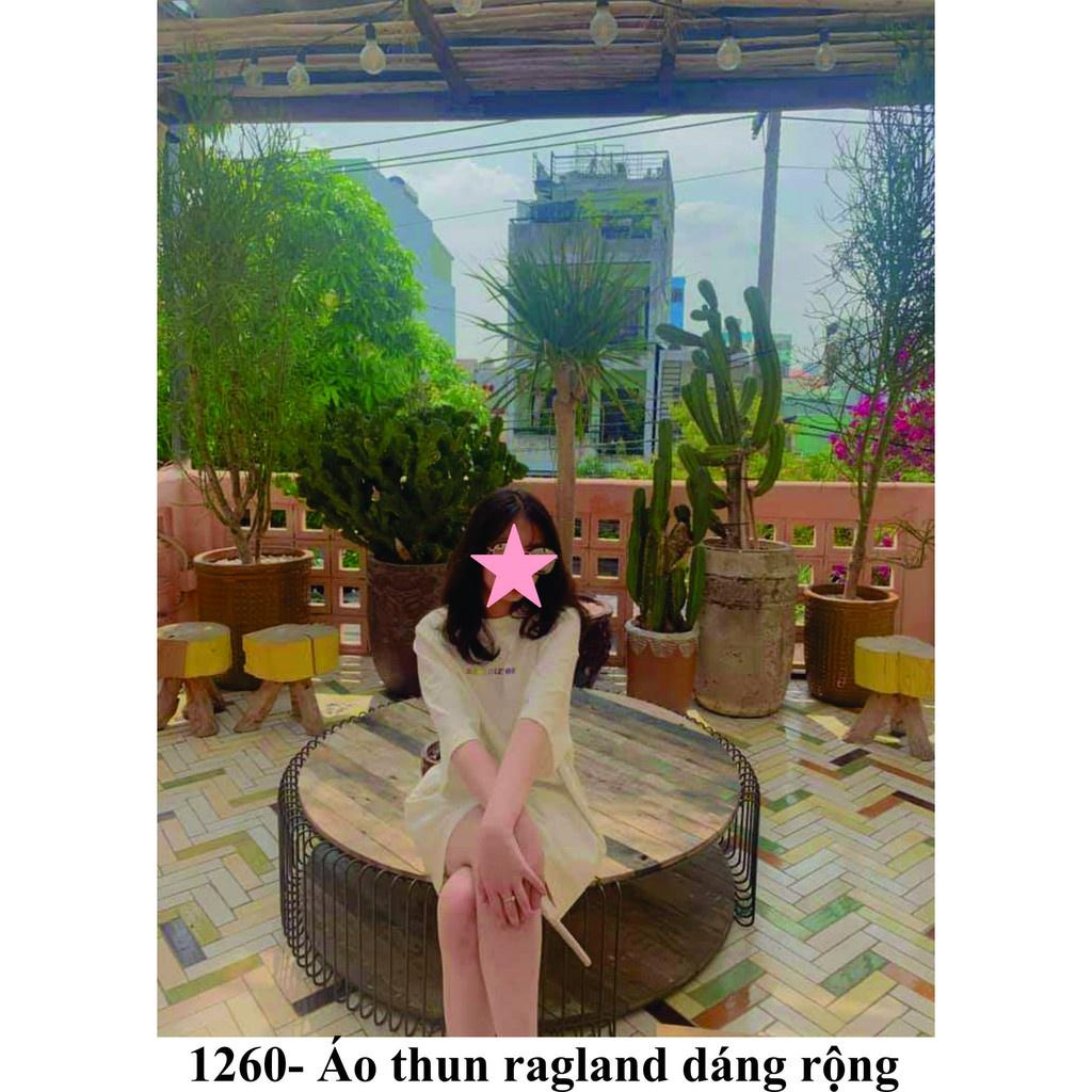 Rập giấy áo thun tay ragland mã 1260 (BẢN VẼ)