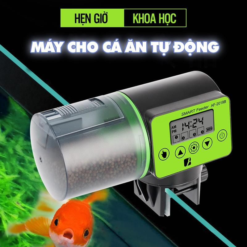 THIẾT BỊ HẸN GIỜ CHO CÁ ĂN TỰ ĐỘNG THẾ HỆ MỚI 2020