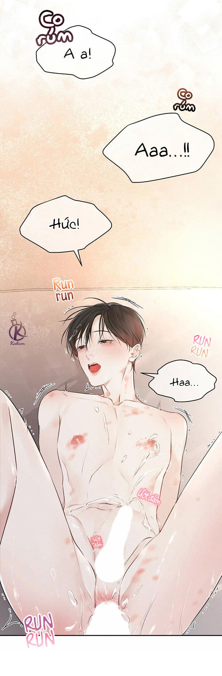 hình thái khởi sinh chapter 29 17