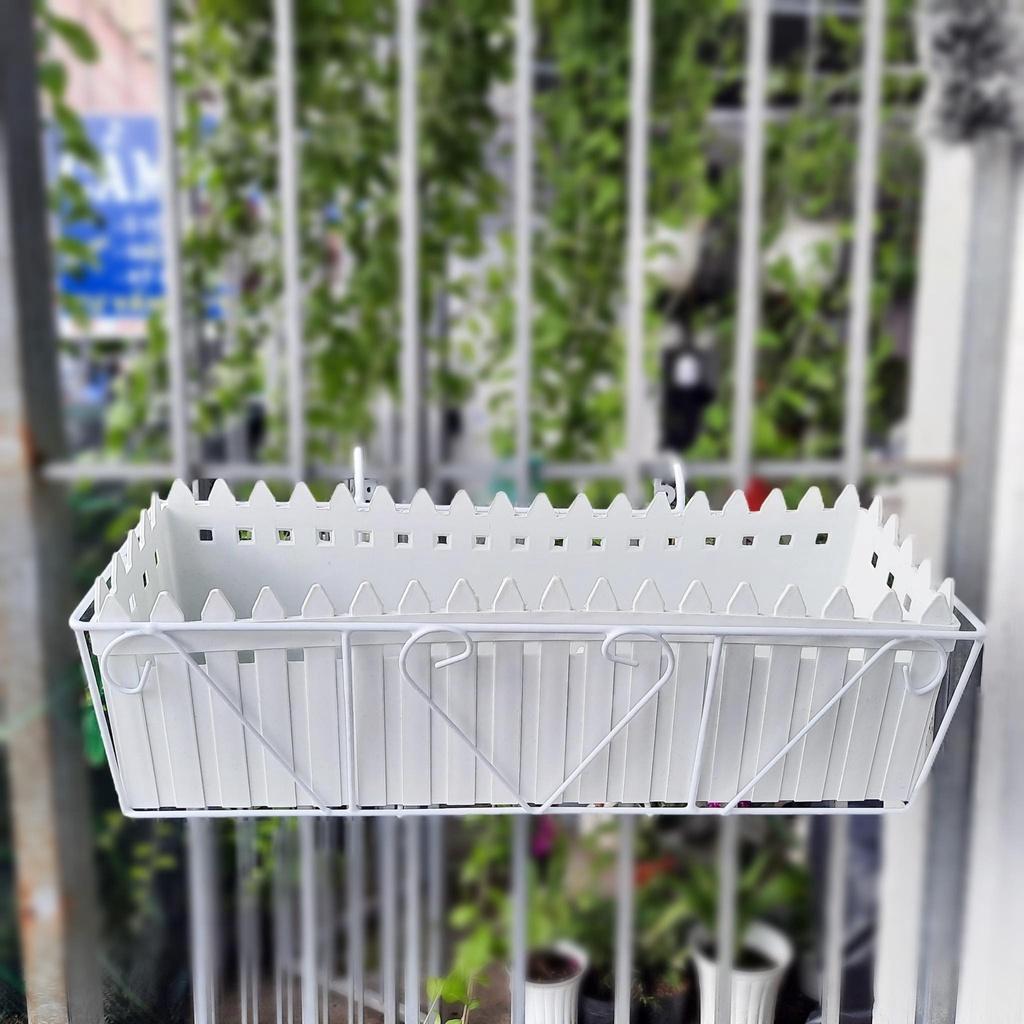 Combo khung sắt - chậu hàng rào màu trắng kích thước 60*18*20cm