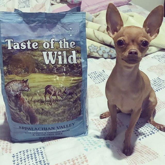 Thức Ăn Cho Chó Chihuahua Taste Of The Wild Bao 500g - Appalachian Valley Thịt Nai &amp; Đậu Garbanzo