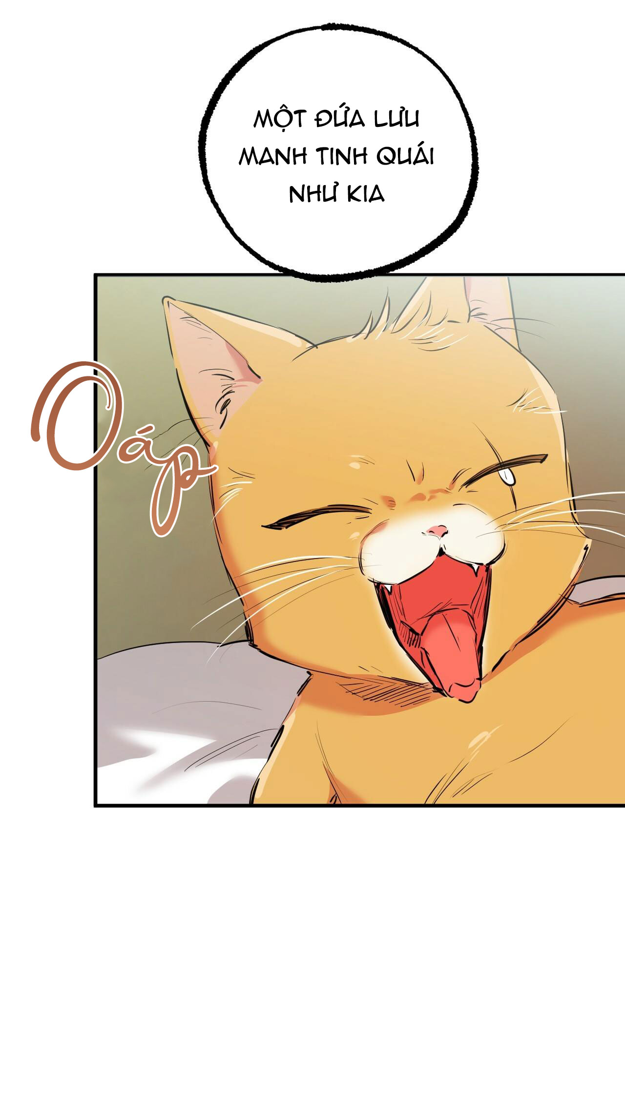 những chú thỏ của hapypy chapter 32 11