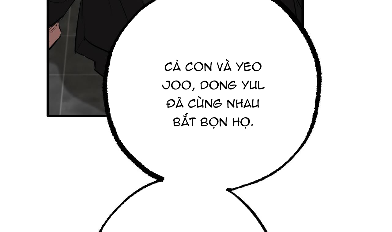 những chú thỏ của hapypy chapter 49 126