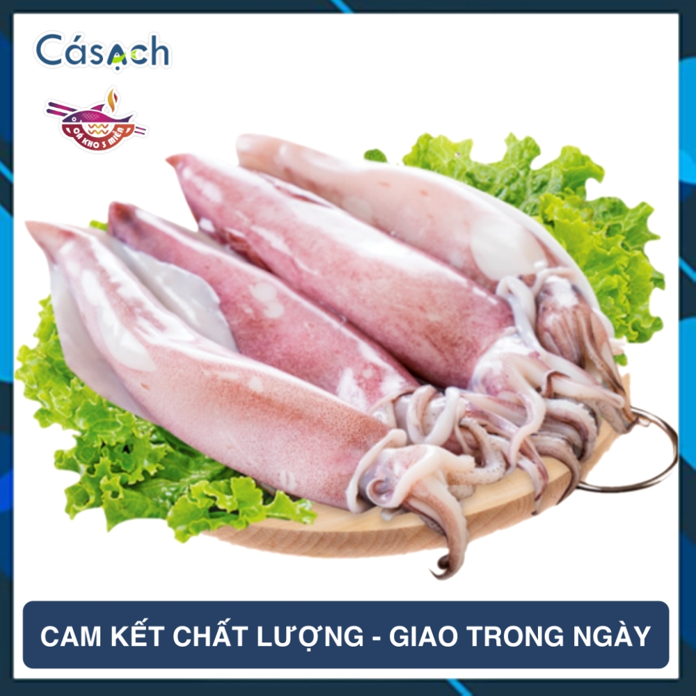 Mực ống làm sạch - CKFoods - 300 g