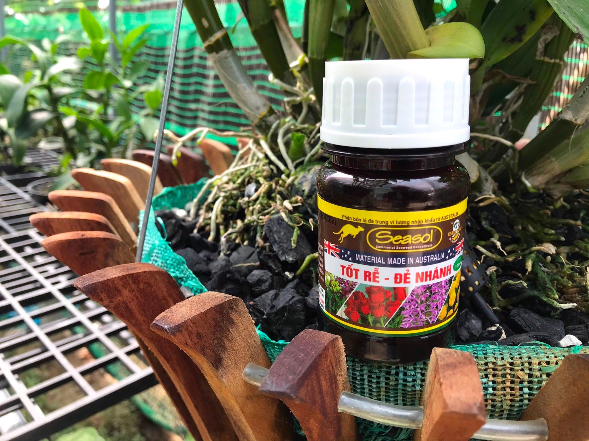 PHÂN BÓN SEASOL 100ML NGUYÊN CHẤT NHẬP KHẨU TỪ AUTRALIA, GIÚP HOA CẢNH: TỐT RỄ - ĐẺ NHÁNH