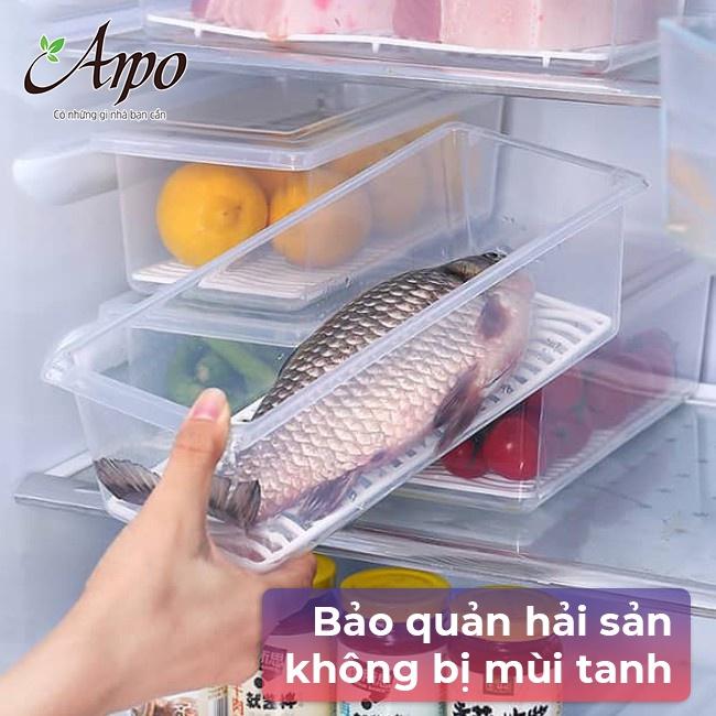 Hộp Nhựa Tủ Lạnh Bảo Quản Thực Phẩm Trong Suốt TÍch Hợp Khay Ráo Nước Giúp Thức Ăn Tươi Lâu - Hộp Tủ Lạnh Có Nắp