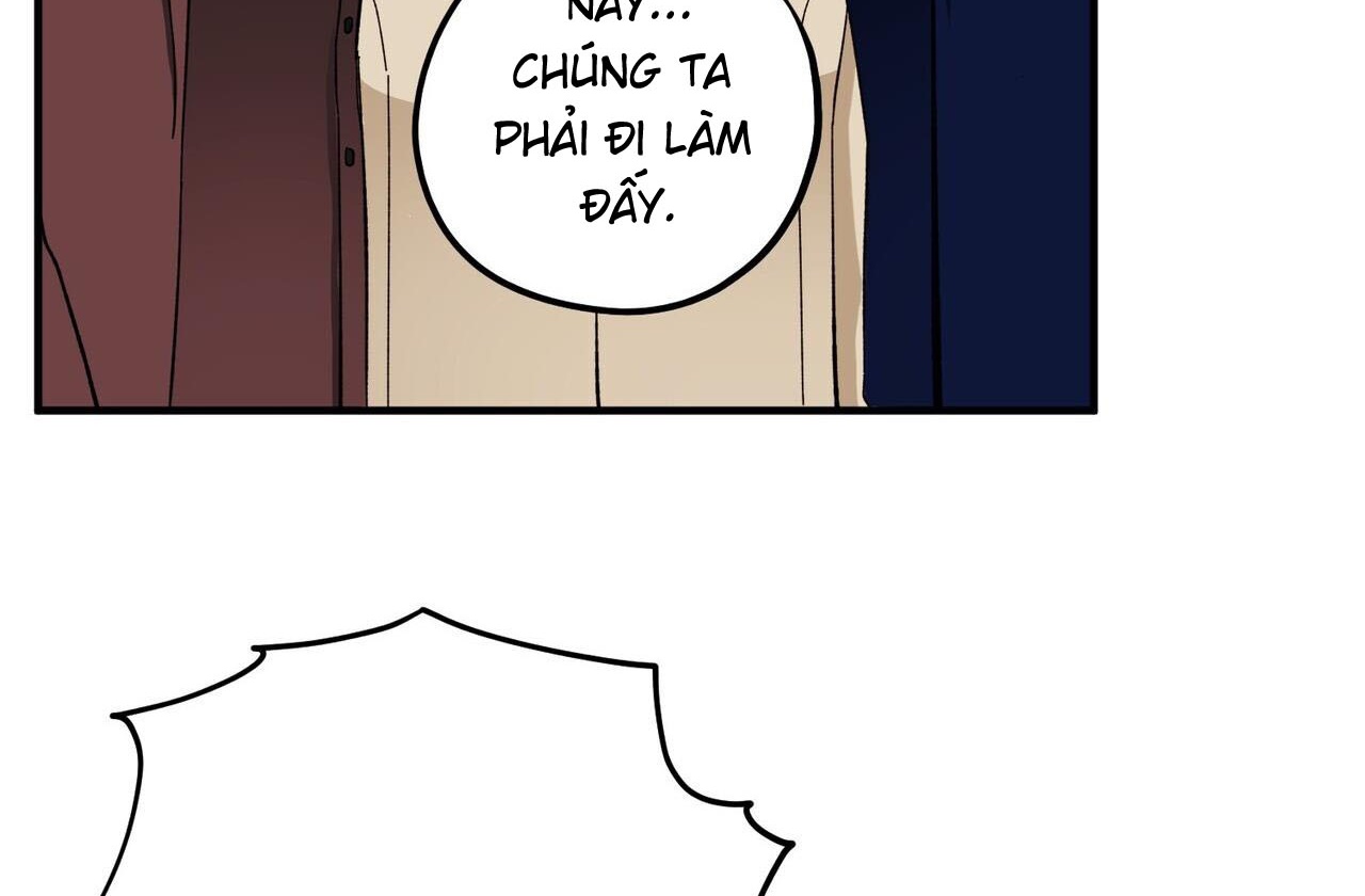 chàng dâu nhà họ kang chapter 42 70