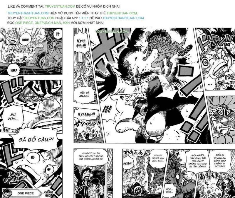đảo hải tặc - one piece chapter 1068 17