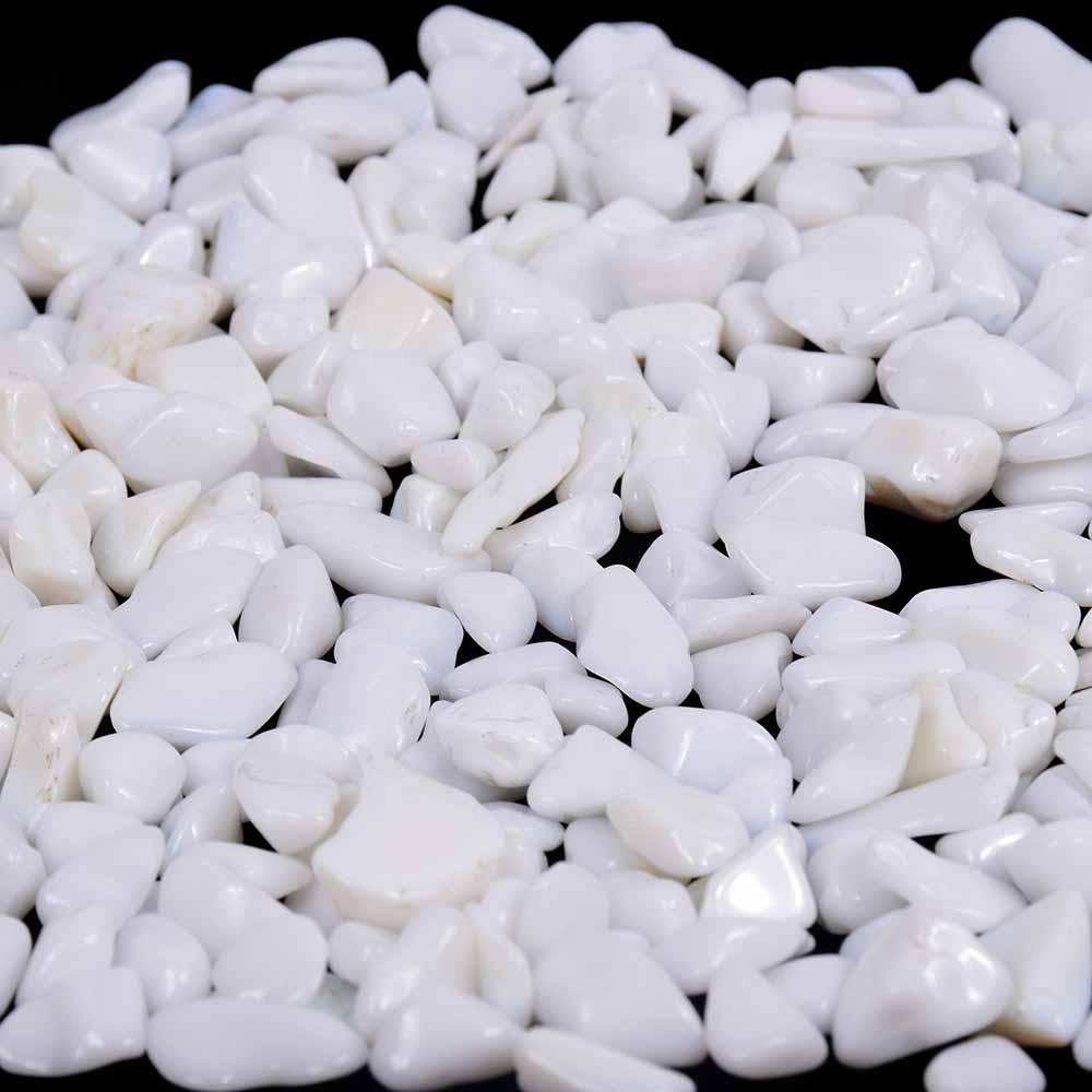 1 KG SỎI TRẮNG CỠ VỪA TRANG TRÍ BỂ CÁ,CHẬU CÂY,TIỂU CẢNH -SỎI TRẮNG