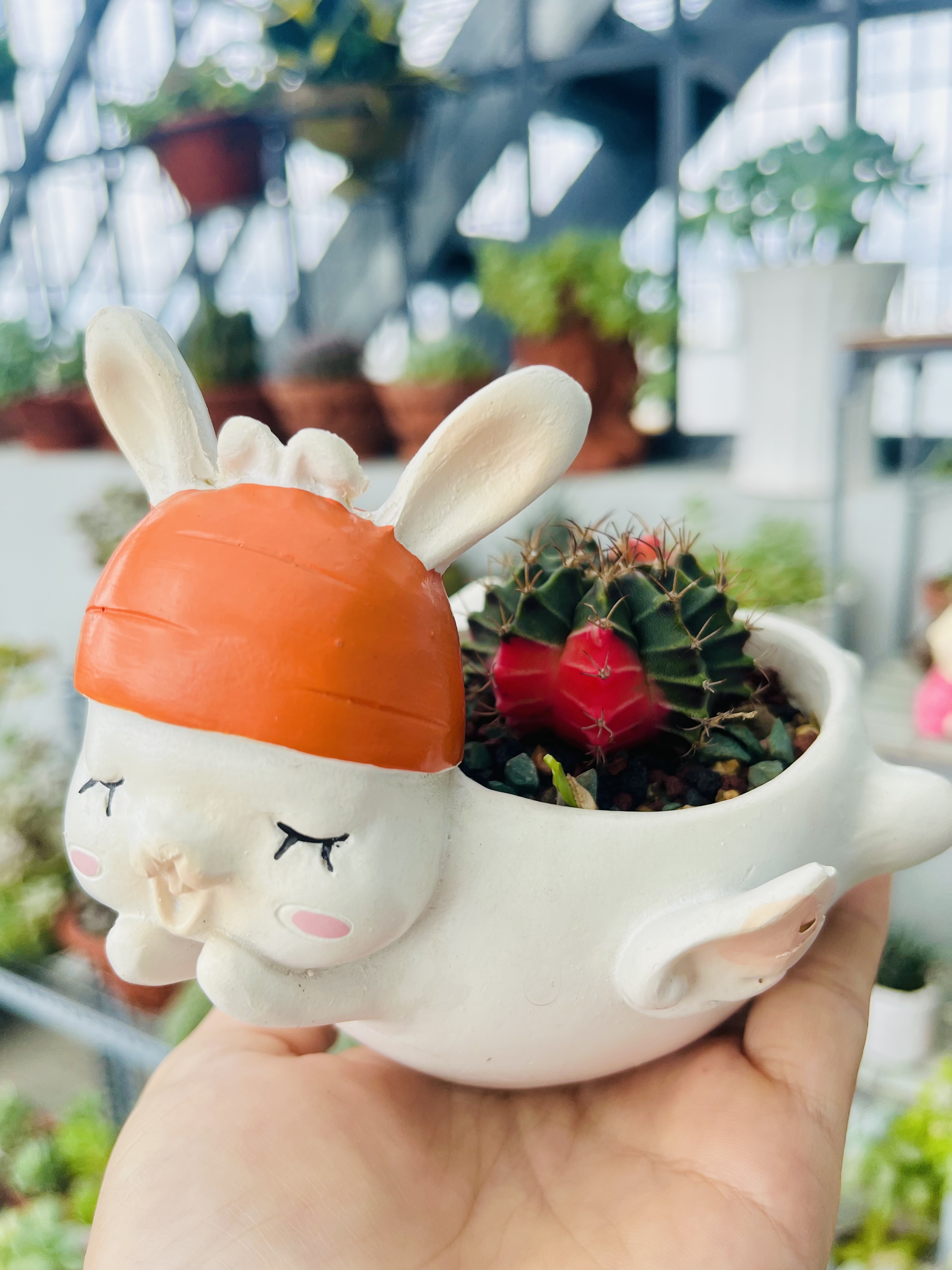 Chậu trồng cây hình thú dễ thương, trồng sen đá, cây mini.. trang trí bàn làm việc