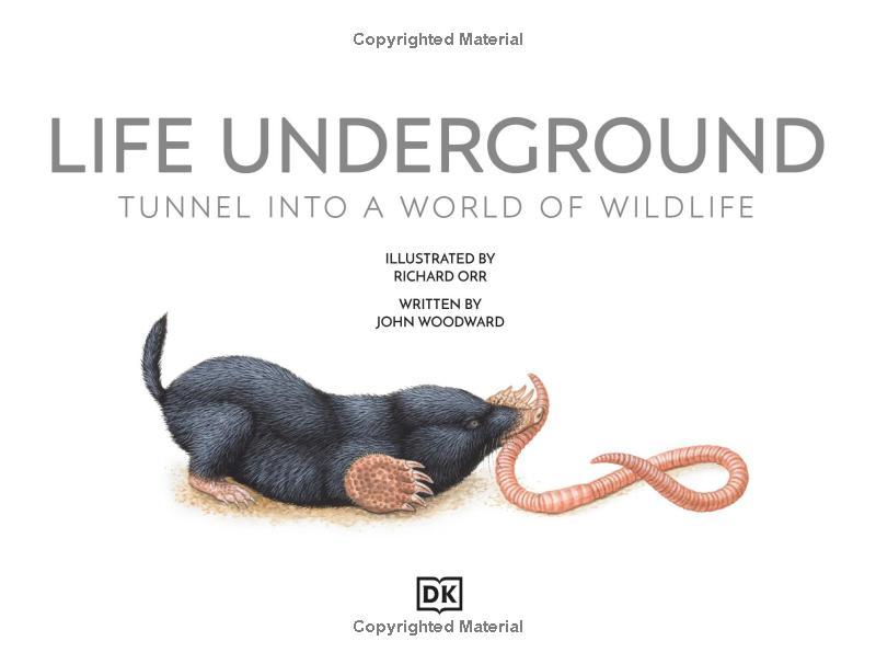 Sách ngoại văn: Life Underground - Tunnel Into A World Of Wildlife