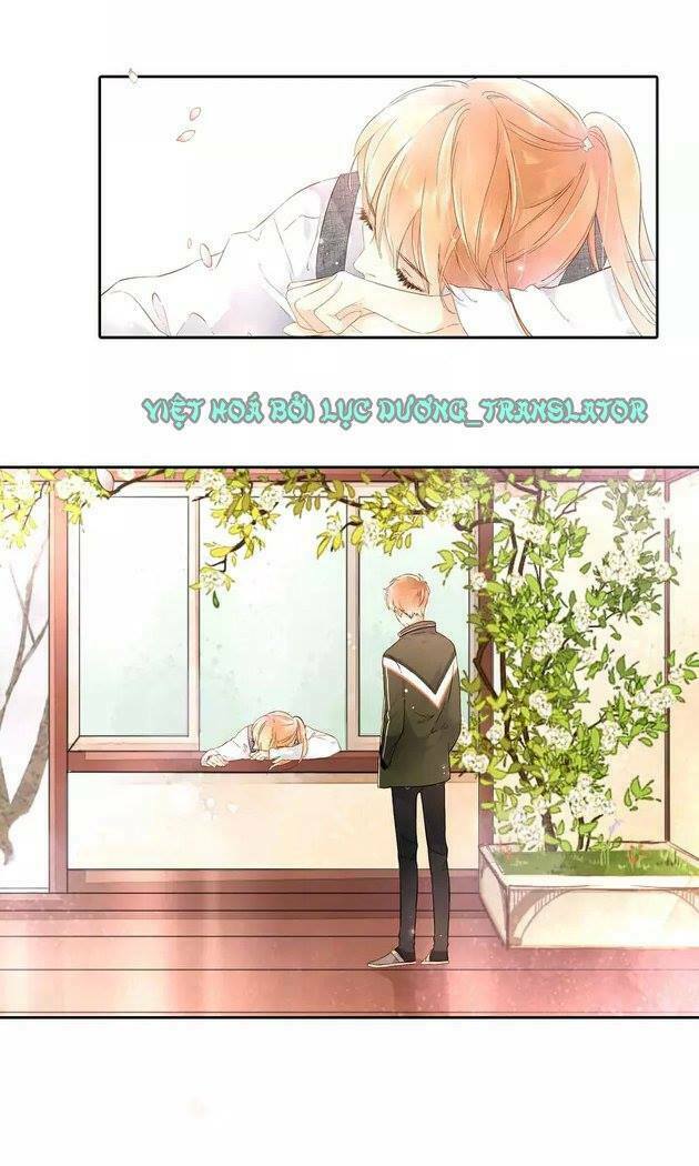 Tình yêu là màu hoa anh thảo chapter 20.5 1