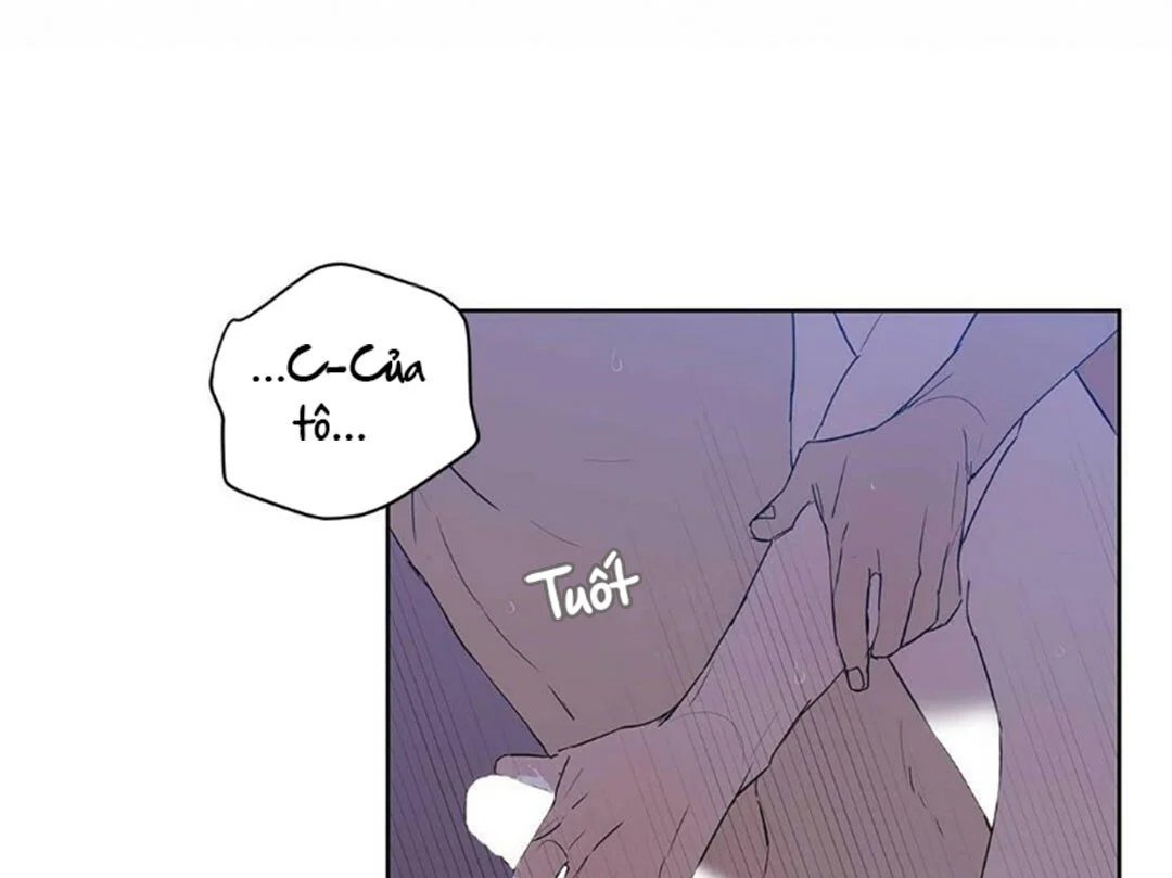 guide cấp b chapter 22 22