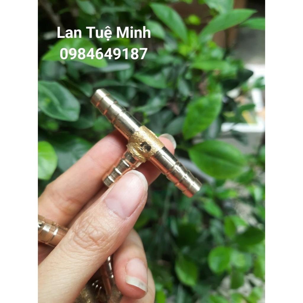 Đuôi chuột chữ T chia 3 cho ống từ 6mm đến 12mm