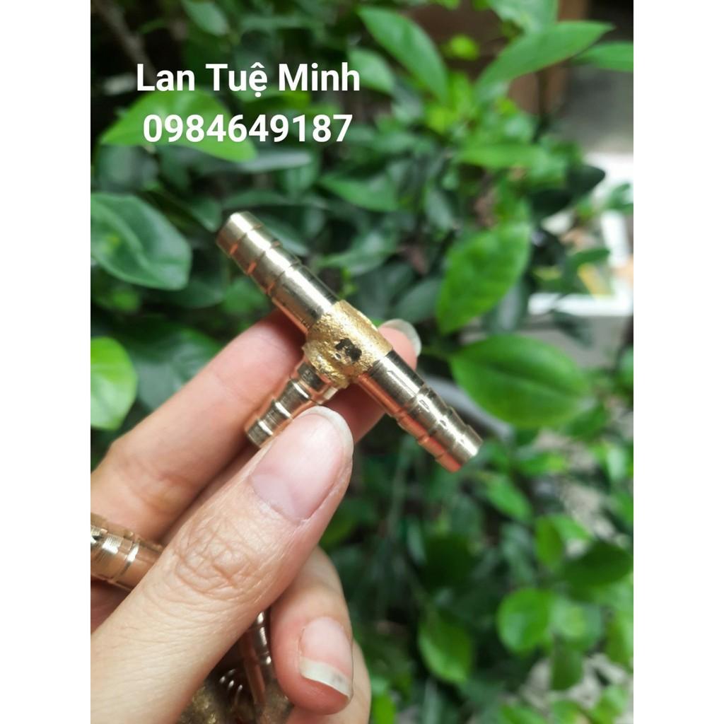 Đuôi chuột chữ T chia 3 dùng cho ống nước 8mm chất lượng