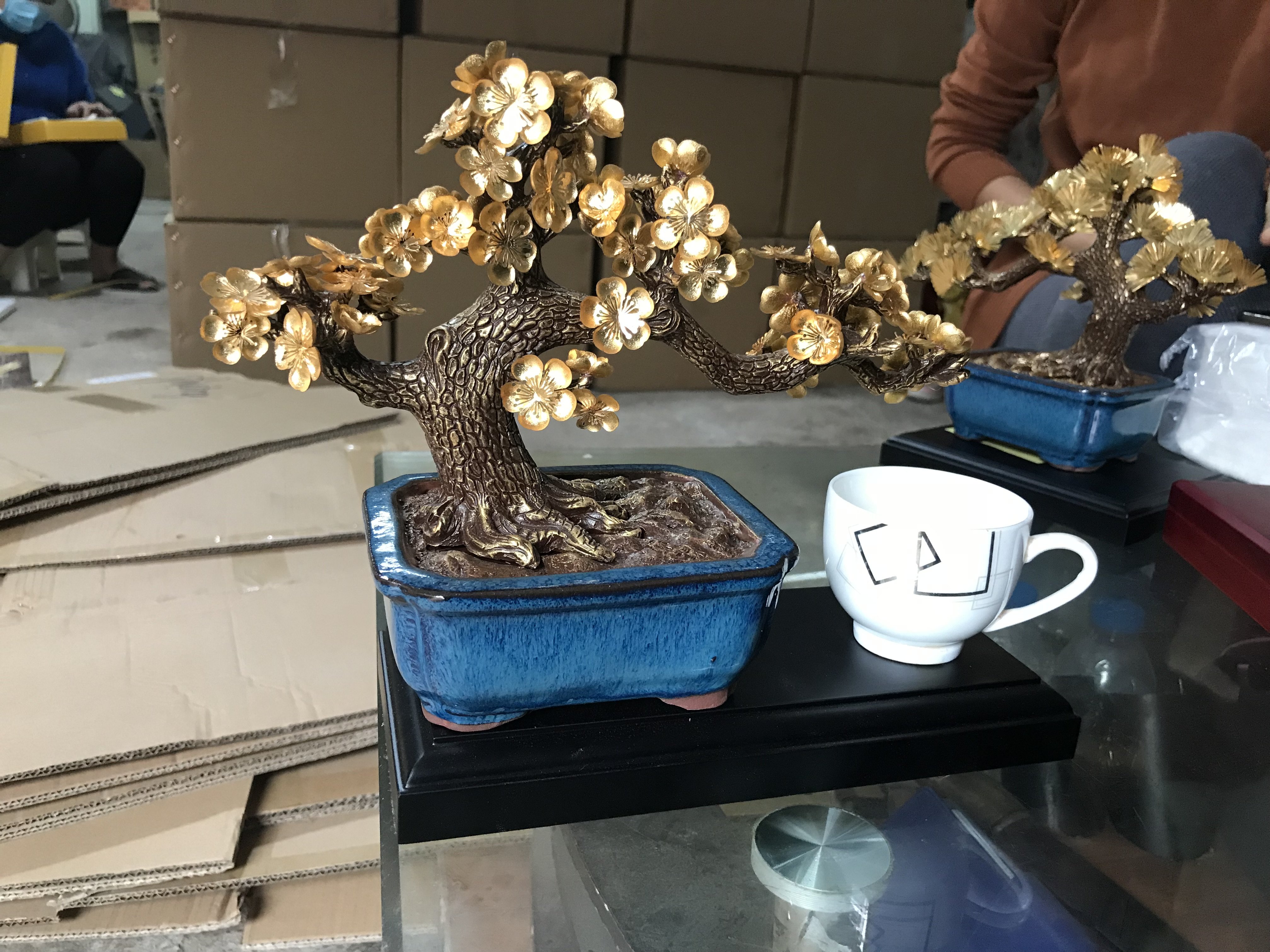 Chậu cây mai ngũ phúc mạ vàng 24k