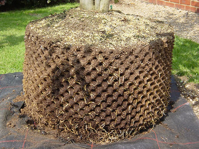 Bầu Ươm Cây Thông Minh Ropot 50cm x 5m - Ươm Dưỡng Rễ Vườn Cây Tiện Lợi