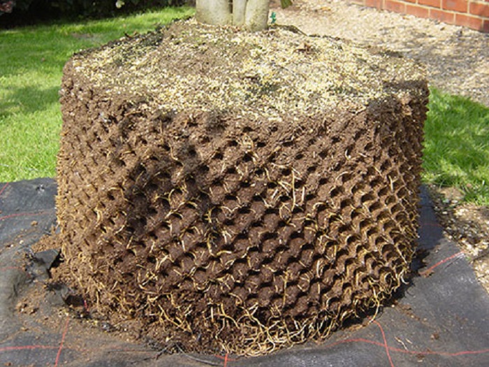 Đế Nhựa Bầu Ươm Thông Minh đường kính 20cm