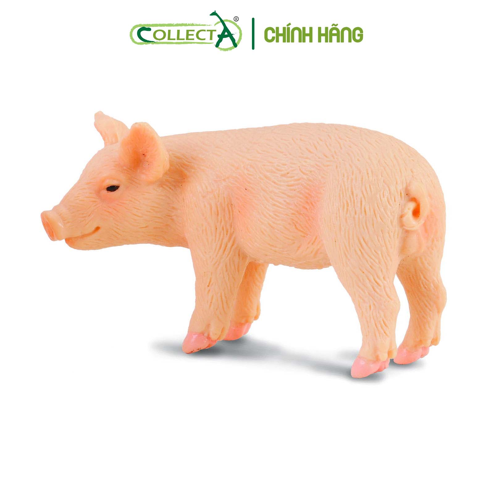 Mô hình thu nhỏ: Lợn con - Đứng - Piglet (Standing), hiệu: CollectA, mã HS 9650042[88063] -  Chất liệu an toàn cho trẻ - Hàng chính hãng