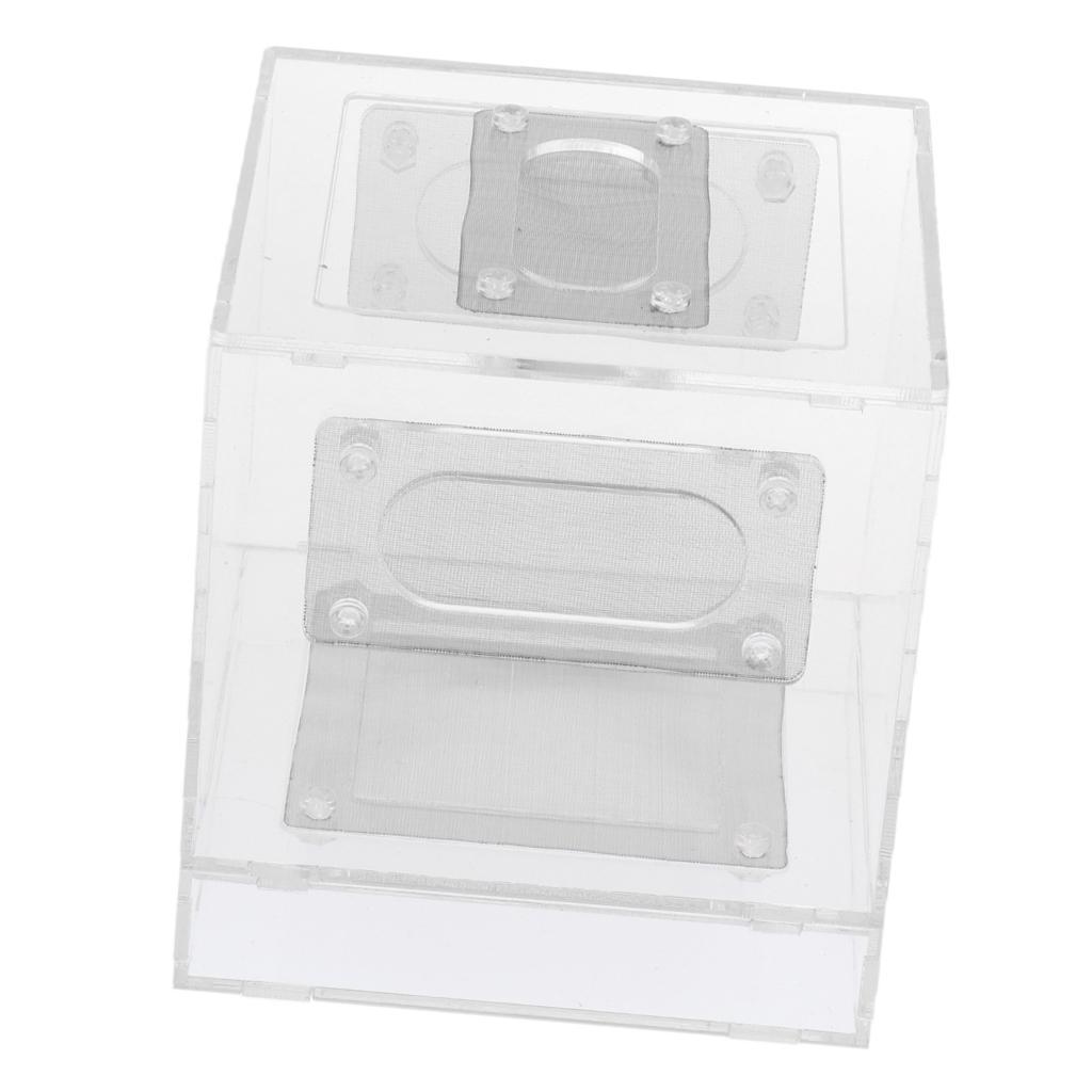 Small Reptile Lizard Spider Scorpion Insect Vivarium Feeding Rearing Box