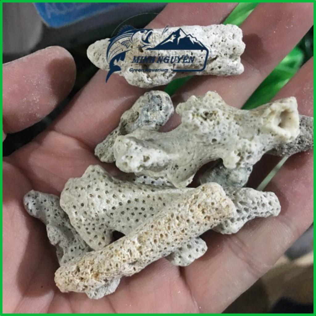 San Hô Vụn | Vật liệu lọc san hô vụn cao cấp khối lượng 100Gr