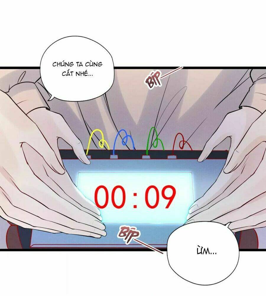 cạm bẫy lửa tình chapter 80 41