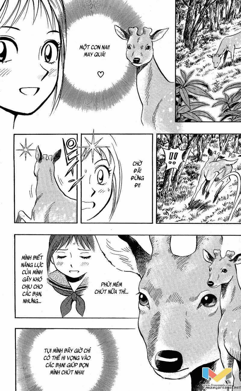 animal sense chapter 10 8