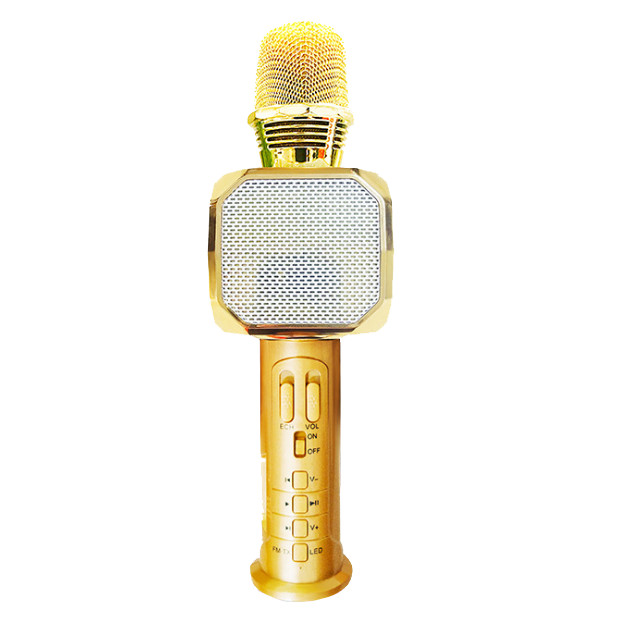 Micro karaoke Bluetooth  PF166 SD10  3 trong 1