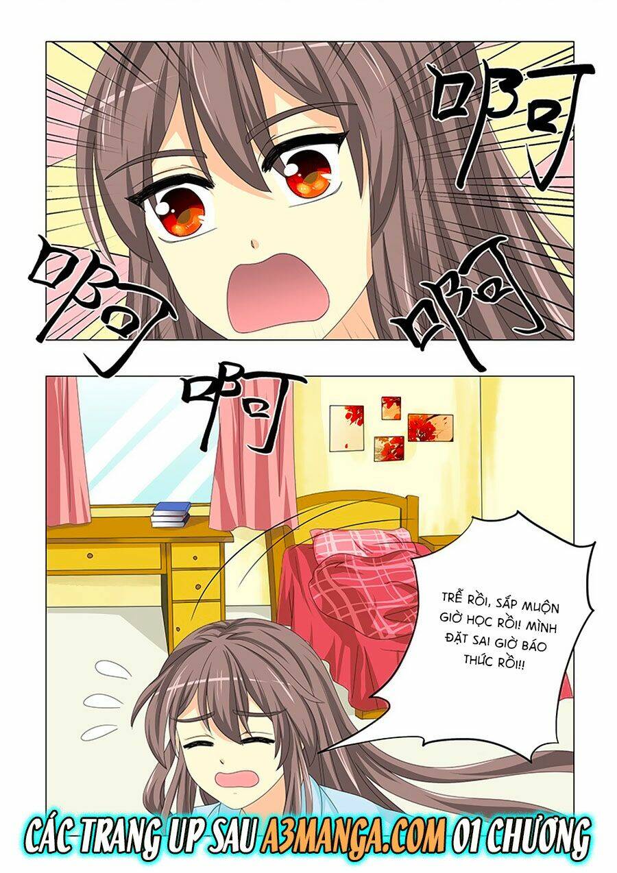 đống phù đã khai quang chapter 30 14