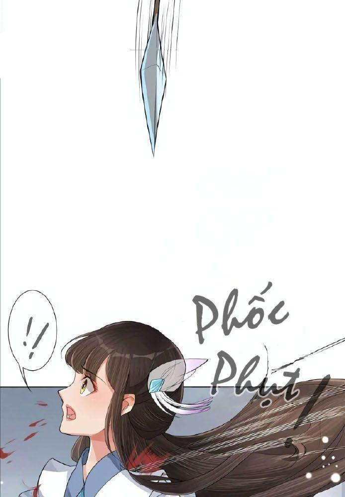 lấy thiên hạ làm sính lễ: vương phi lại trêu ta chapter 1 7