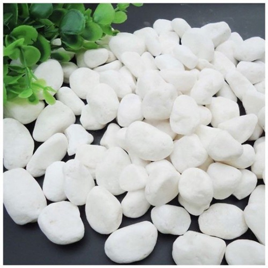 Sỏi Trắng Viên 2-3cm Trang Trí Chậu Cây, Bể Cá