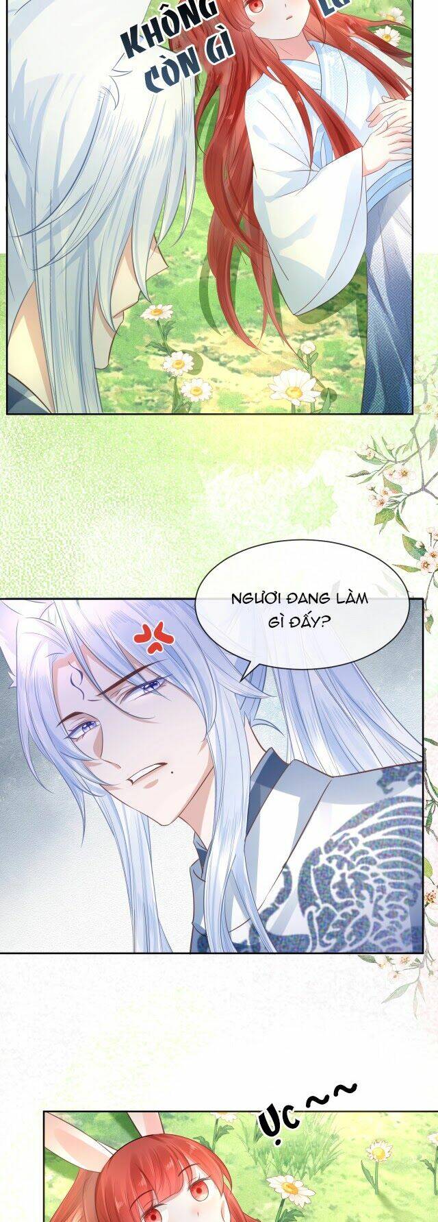 hắc hóa nam chính trực tuyến nuôi thỏ chapter 15 11