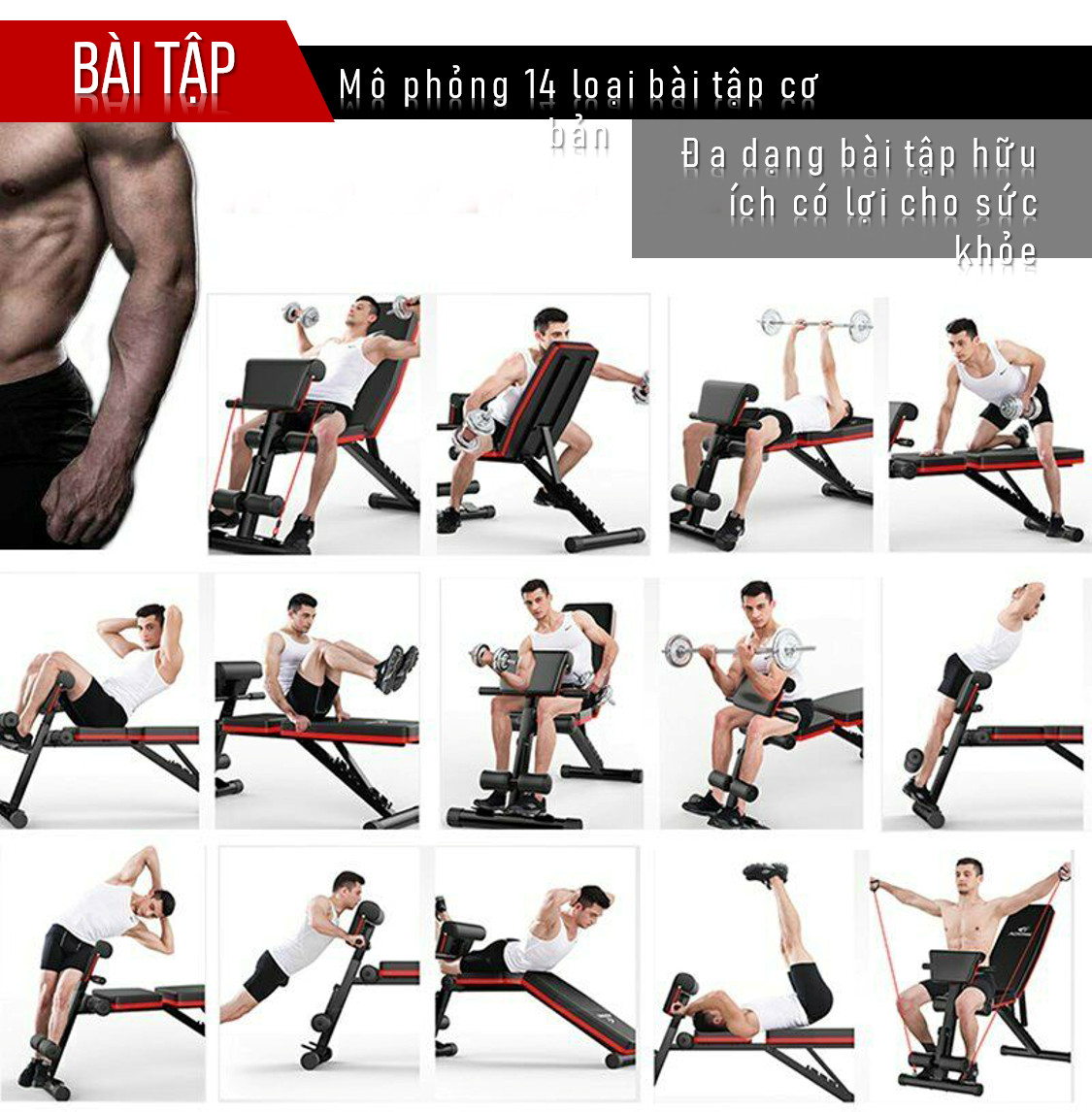 Ghế Tập Gym Đa Năng Tại Nhà - Phiên Bản 2021 - 4in1 - Ghế Tập Tạ Đa Năng - Tặng Dụng Cụ Chống Đẩy