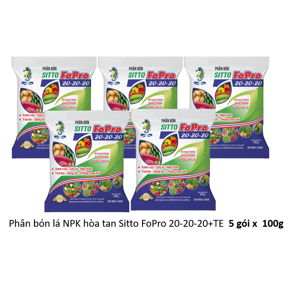 Combo 5 gói Phân bón lá NPK hòa tan Sitto FoPro 20-20-20+TE (100g x 5 gói)