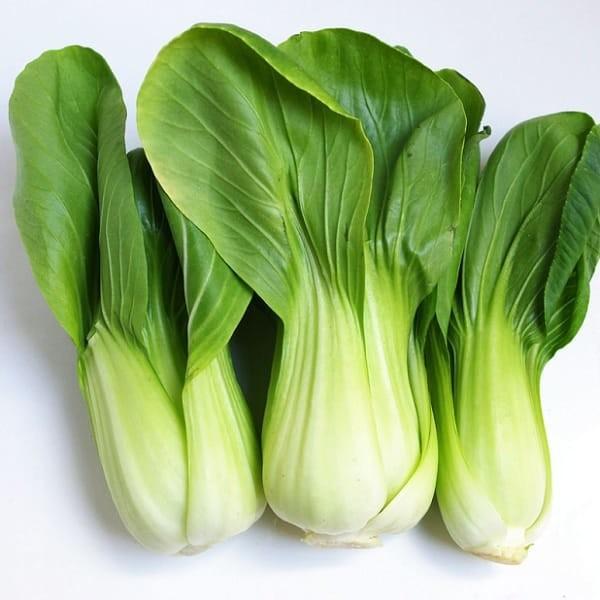 Hạt giống rau cải thìa, đóng gói 20gr