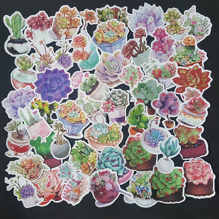 Bộ Sticker dán cao cấp chủ đề SEN ĐÁ SUCCULENTS - Dùng dán Xe, dán mũ bảo hiểm, dán Laptop