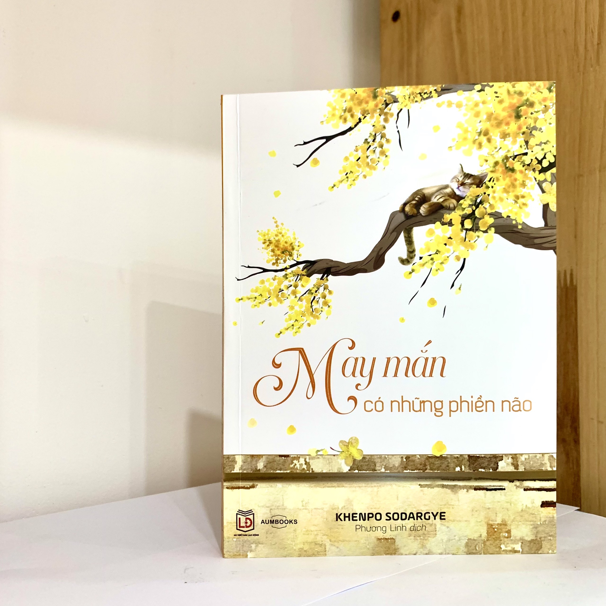 Sách May Mắn Có Những Phiền Não - Sách tôn giáo, nghệ thuật văn hóa, tác giả KHENPO SODARGYE - Á Châu Books, bìa mềm, in màu