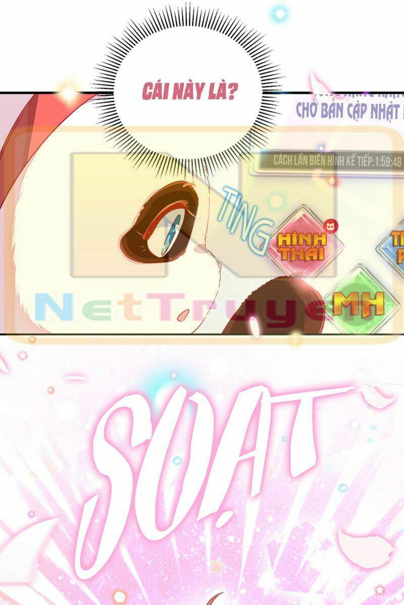 thiên thần gấu trúc muốn được ôm chapter 32 17