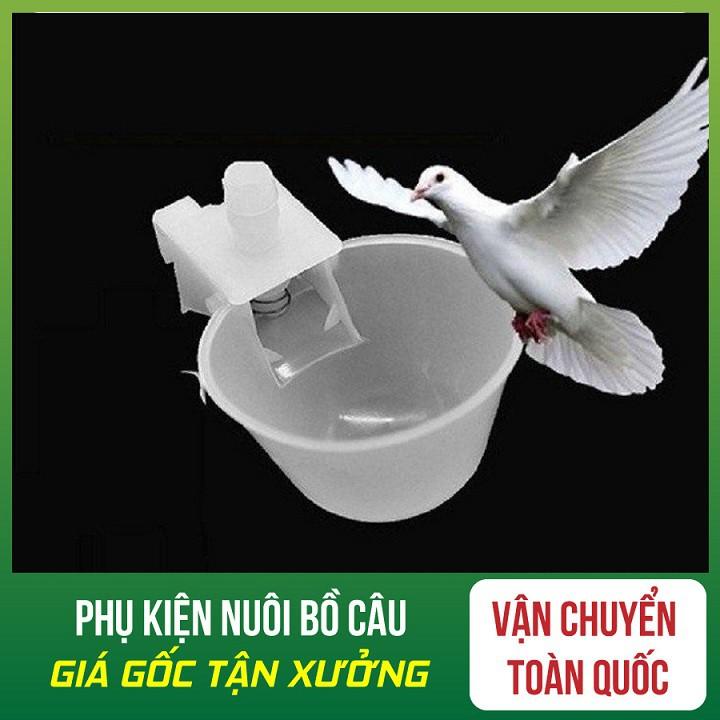 Combo 10 Máng uống tự động cho chim bồ câu